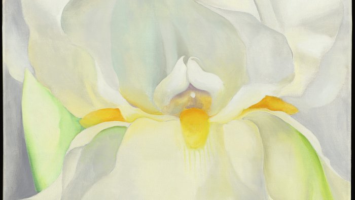 Visita guiada La belleza del caos