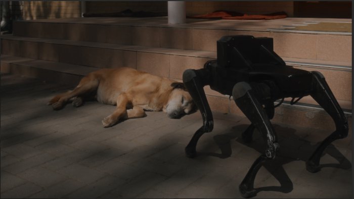 Pedagogías de guerra: recorridos nocturnos