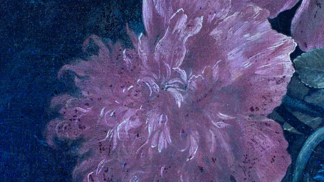 Detail of the ultraviolet image of Linard's painting "Chinese porcelain with flowers" Detail of the ultraviolet image of Linard's painting "Chinese porcelain with flowers"
