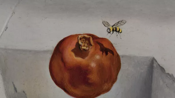 Salvador Dalí