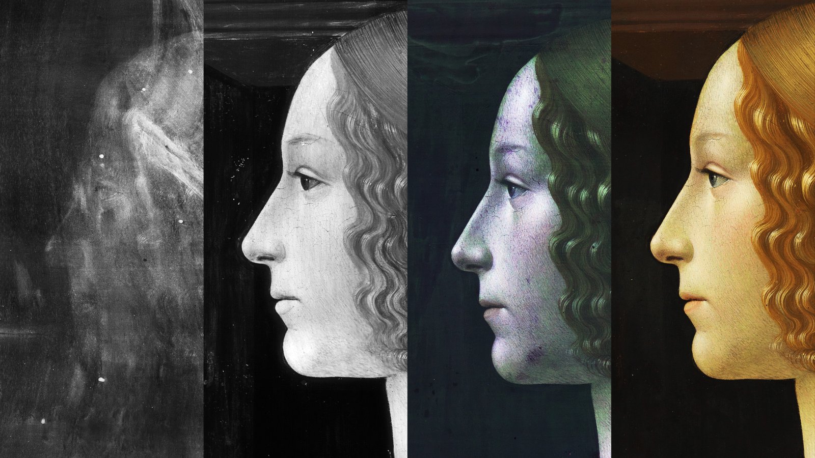 Composition of technical images for the study of Ghirlandaio's work “Portrait of Giovanna degli Albizzi Tornabuoni”.