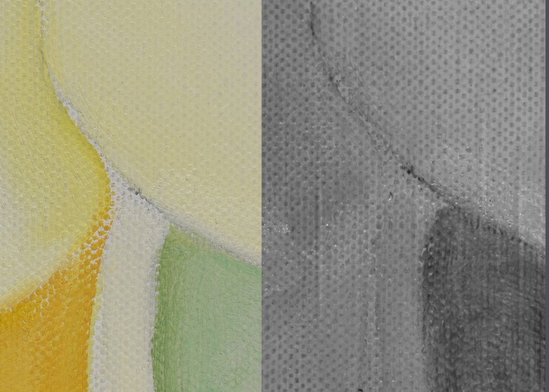 “Lirio blanco n.º 7”: Comparativa entre la imagen visible y la imagen infrarroja