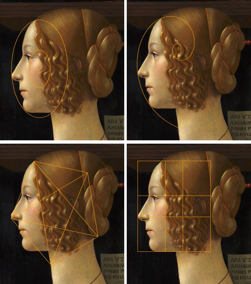 Application of the golden ratio to Giovanna's face, in which we can see how it coincides perfectly with the result of the numerical proportion.