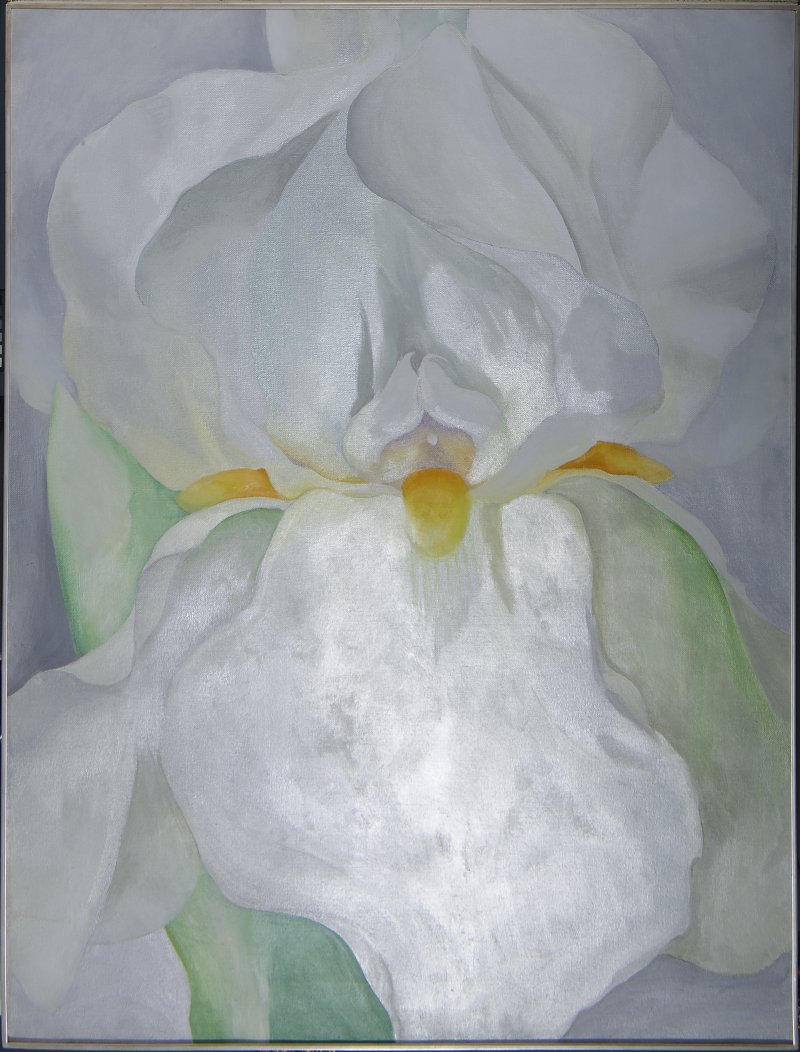 Raking light of the painting “White Iris No. 7”, 1957