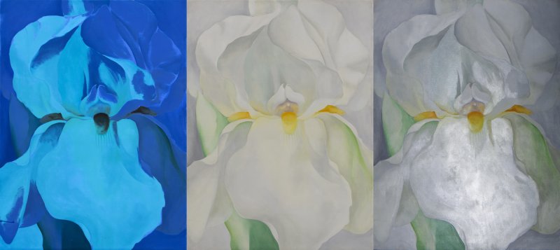 Technical study of the work “White Iris No. 7”, 1957: comparative image taken with ultraviolet light, visible light and raking light