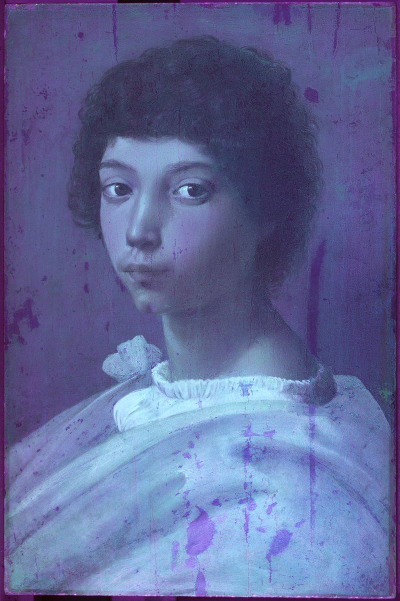 Ultraviolet image of Raphael's painting "Portrait of a young man"
