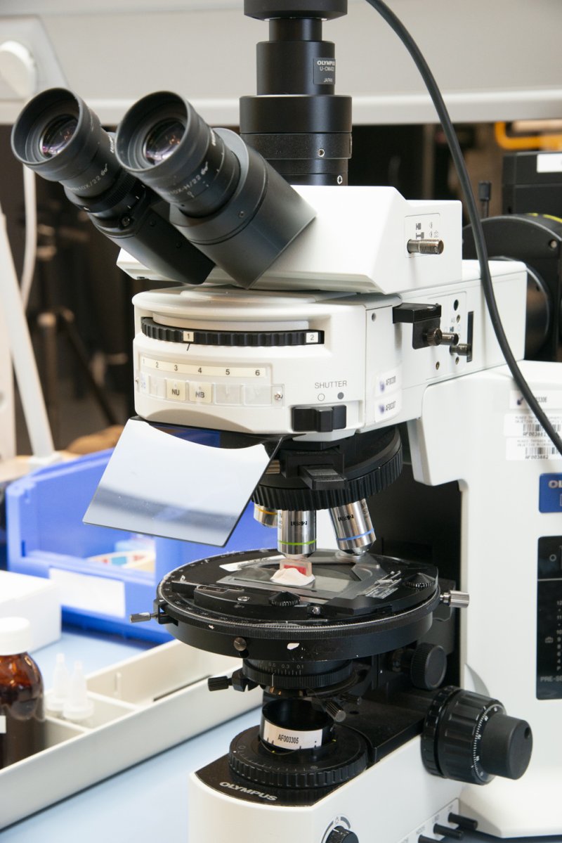 Proyectos de investigación: microscopio para análisis científicos