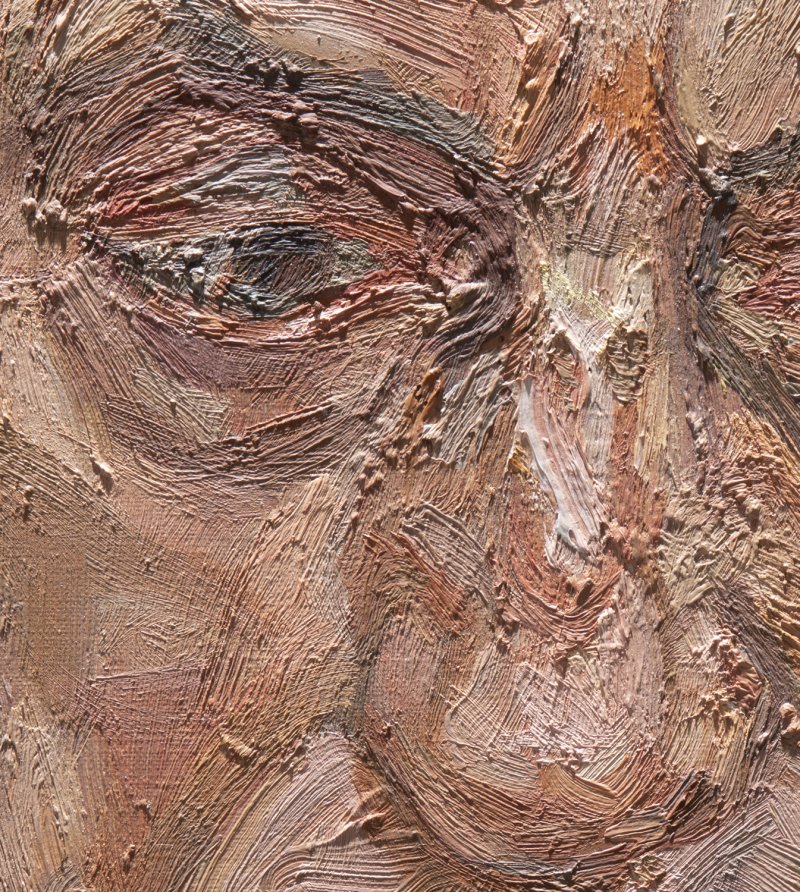 Detail in raking light image of Freud's painting "Portrait of a Man (Baron H. H. Thyssen-Bornemisza)"
