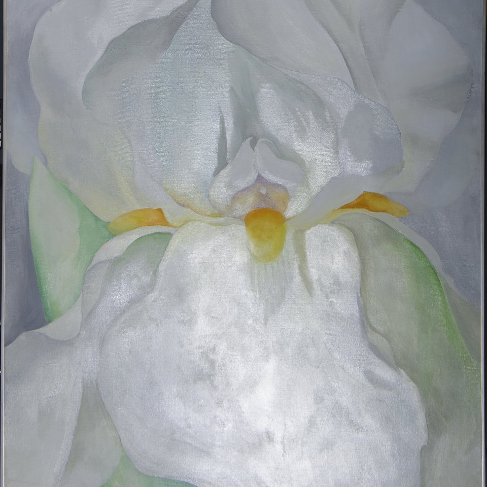 Raking light of the painting “White Iris No. 7”, 1957