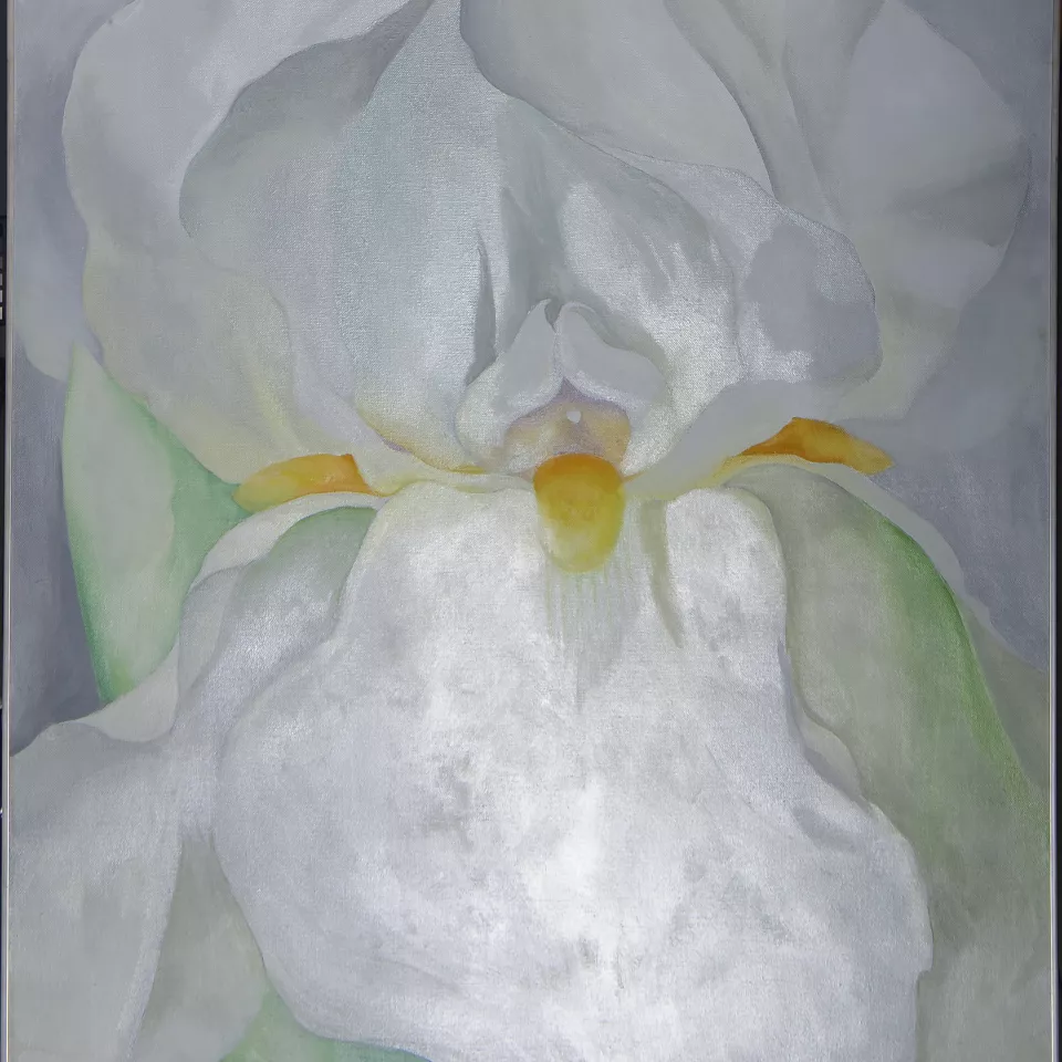 Raking light of the painting “White Iris No. 7”, 1957 Raking light of the painting “White Iris No. 7”, 1957