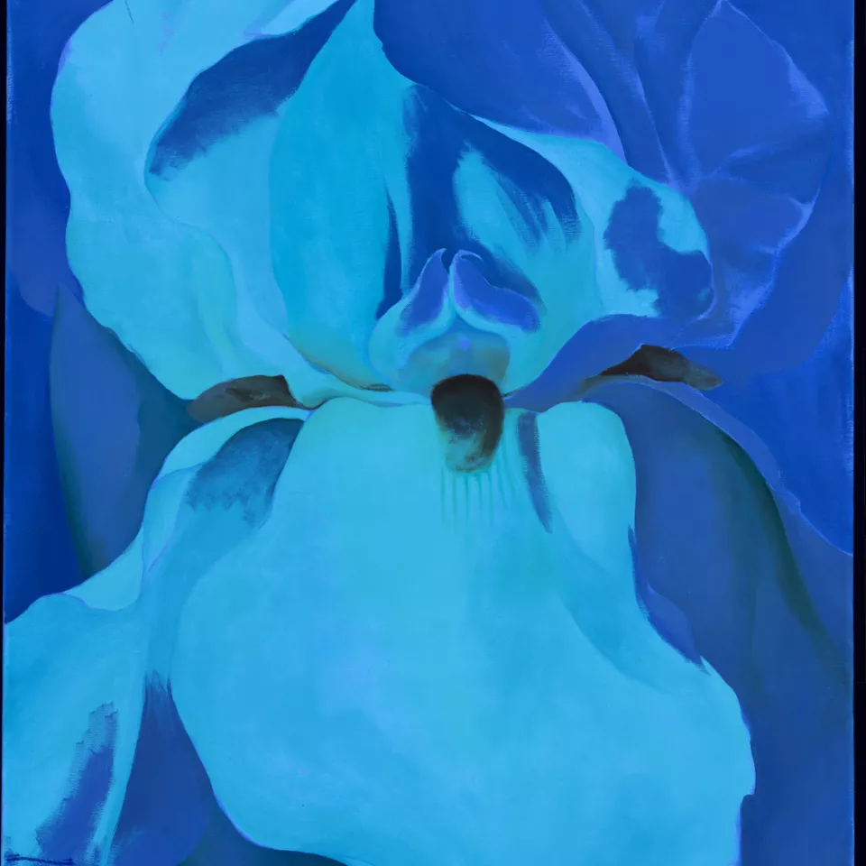 Ultraviolet image of the painting " White Iris No. 7", 1957 Ultraviolet image of the painting " White Iris No. 7", 1957