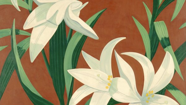 White Lilies, 1966 
